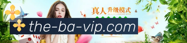 辅助工具